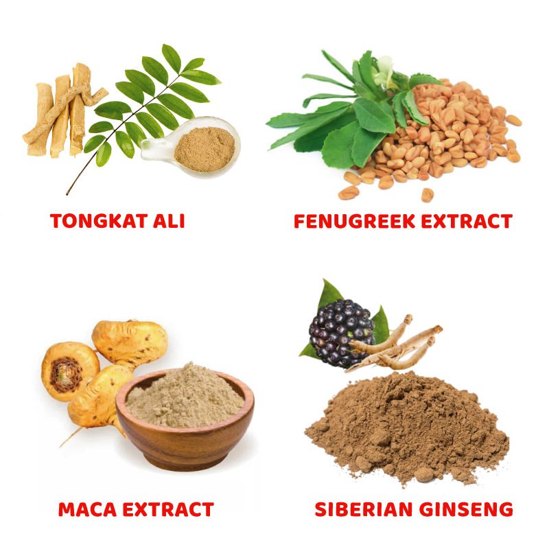 longjack ingredients